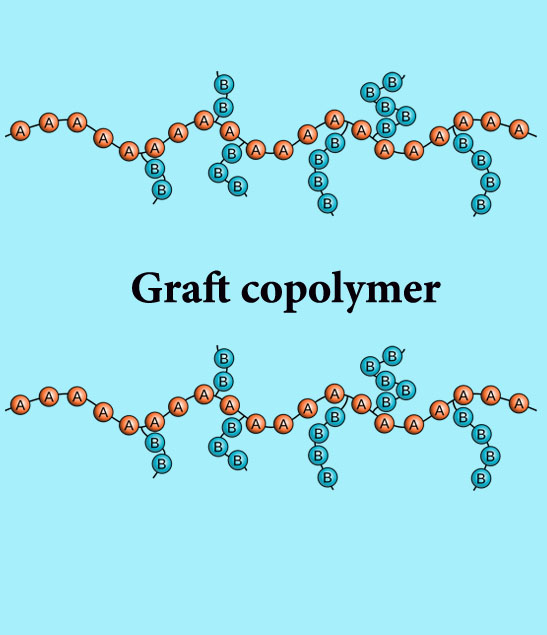 graft copolymer 22