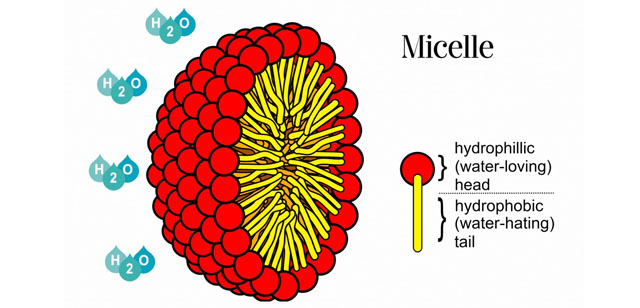 schematic of micelle formation